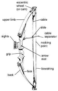 Compound Bow Repairs